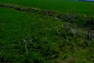 Земеделски имот в Пазарджик, с. Добровница