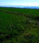 Земеделски имот в Пазарджик, с. Добровница