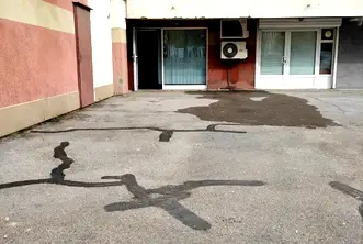 Офис в София, Дървеница