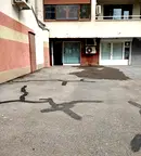 Офис в София, Дървеница