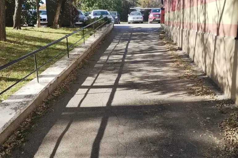 Офис в София, Дървеница