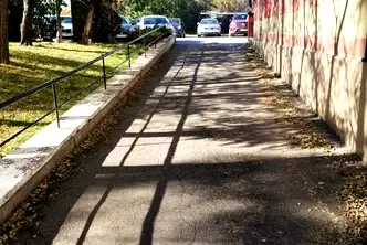Офис в София, Дървеница