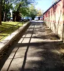 Офис в София, Дървеница