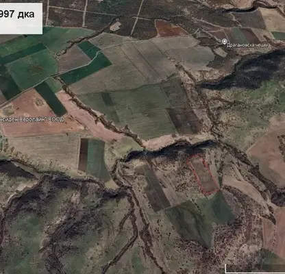 Photo 5 — Orchard in Burgas, Draganovo