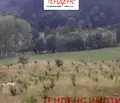 Снимка 3 — Земеделски имот в Кърджали, с. Три могили