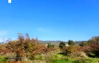 Земеделски имот във Варна, Аксаково