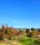 Земеделски имот във Варна, Аксаково