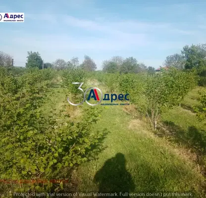 Photo 2 — Agricultural Land in Oblast Veliko Tyrnovo, с. Вино