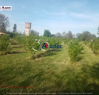 Photo 3 — Agricultural Land in Oblast Veliko Tyrnovo, с. Вино