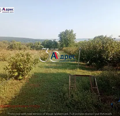 Photo 4 — Agricultural Land in Oblast Veliko Tyrnovo, с. Вино