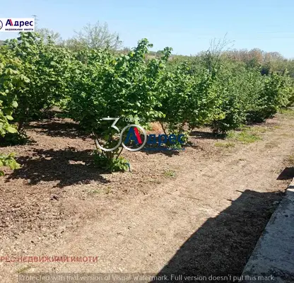 Photo 5 — Agricultural Land in Oblast Veliko Tyrnovo, с. Вино
