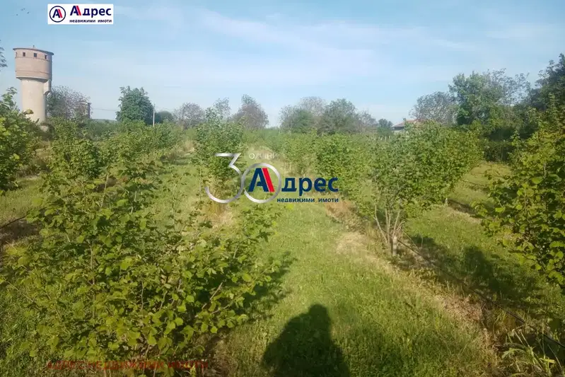 Agricultural Land in Oblast Veliko Tyrnovo, с. Вино