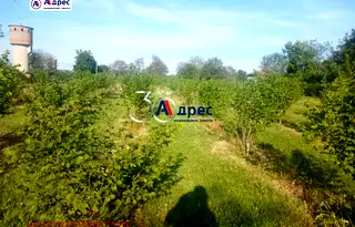 Земеделски имот във Велико Търново, с. Вино