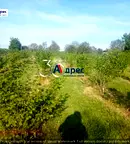 Земеделски имот във Велико Търново, с. Вино