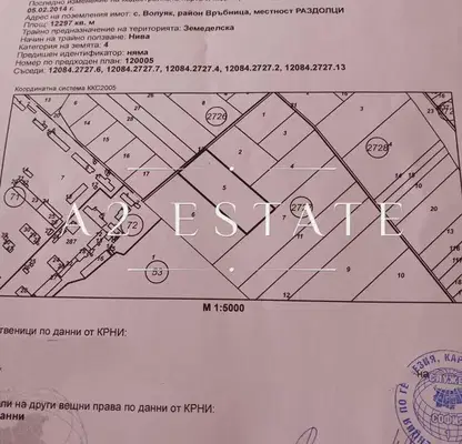 Photo 4 — Plot in Voluyak