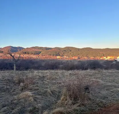 Photo 3 — Plot in Kytina
