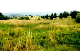 Парцел в с. Бистрица