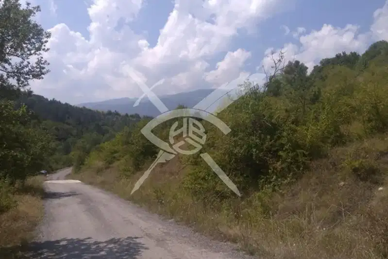 Plot in Bistrica