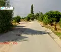 Снимка 3 — Парцел в с. Чепинци
