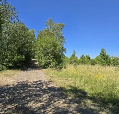 Снимка 3 — Парцел в Банкя