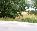 Снимка 3 — Парцел в с. Световрачене