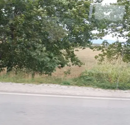 Снимка 3 — Парцел в с. Световрачене