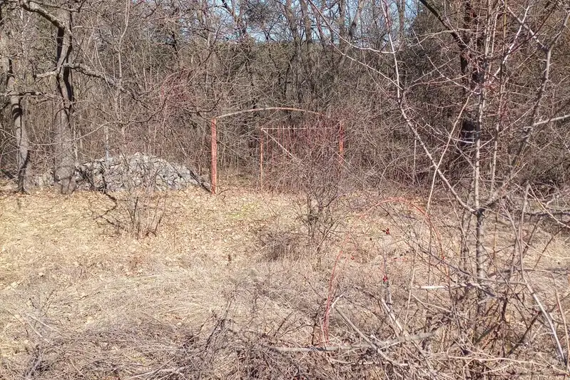 Парцел в с. Войнеговци