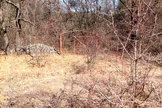 Парцел в с. Войнеговци
