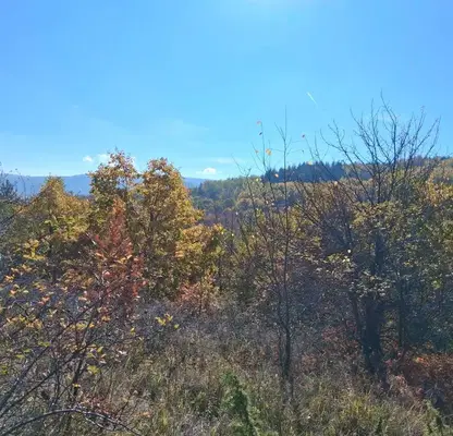 Photo 2 — Plot in Kokalyane