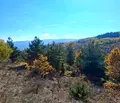 Снимка 4 — Парцел в с. Кокаляне