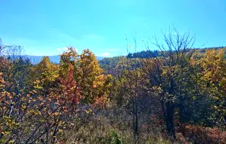 Парцел в с. Кокаляне