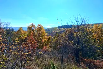 Парцел в с. Кокаляне