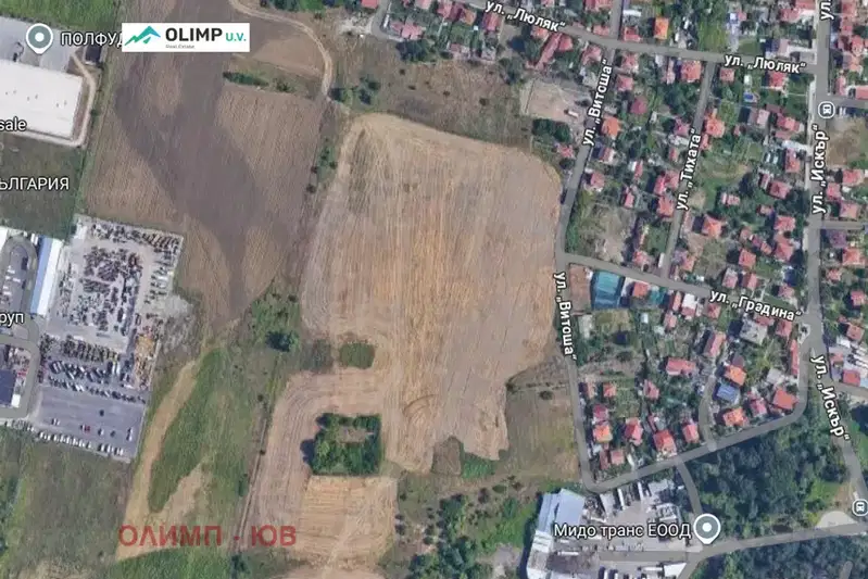 Plot in Krivina