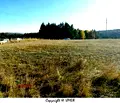 Снимка 5 — Парцел в с. Железница