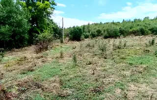 Парцел в Банкя