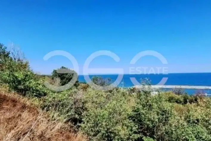 Plot in Zlatni Pyasyci