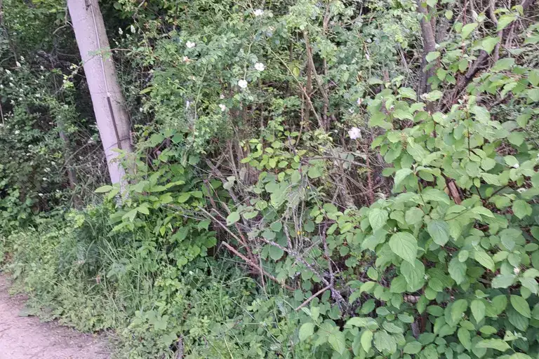 Парцел в с. Панчарево
