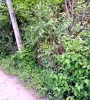 Парцел в с. Панчарево