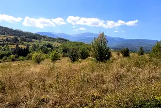 Парцел в с. Панчарево