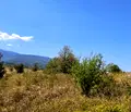 Снимка 5 — Парцел в с. Панчарево