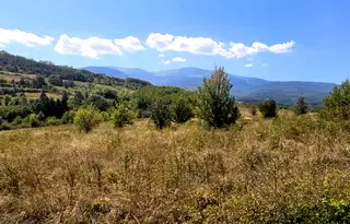Парцел в с. Панчарево