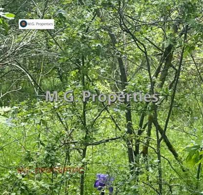 Photo 4 — Plot in Zvezdica