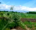 Снимка 3 — Парцел в Пловдив, Беломорски