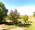 Снимка 2 — Парцел в София, Бенковски