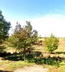 Парцел в София, Бенковски