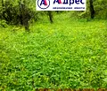 Снимка 2 — Парцел във Велико Търново, Център