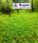 Парцел във Велико Търново, Център