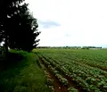 Снимка 5 — Парцел в Русе, Център