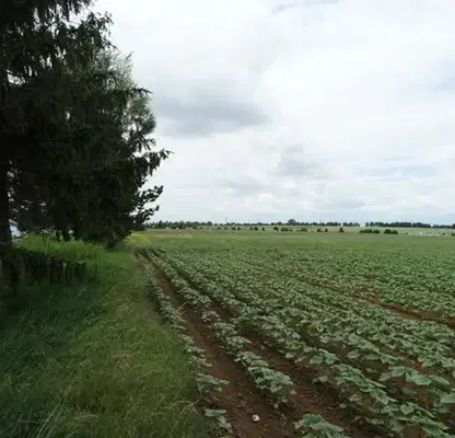 Photo 5 — Plot in Ruse, Centyr