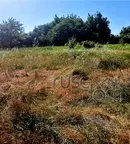 Парцел в Русе, Чародейка - Юг